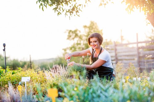 In the image, a woman with a smile is engaged in gardening in a well-maintained outdoor garden space. She is tending to a variety of plants and shrubs, which include low-growing greenery and flowering plants with hints of purple and yellow. The garden features a lush, green lawn with dense, healthy grass in the foreground, and the background includes a wooden fence, possibly marking the boundary of the property, along with taller trees providing natural shade. The scene is illuminated by soft natural sunlight, suggesting a calm, clear day. The woman’s posture indicates careful attention to her planting or pruning work, with gardening tools potentially nearby. This outdoor environment is structured to include flower beds, a neatly edged lawn, and a natural, inviting atmosphere typical of a well-kept private garden, which landscapes maintenance professionals like those at Landscapers Muswell Hill might help enhance with their gardening services.