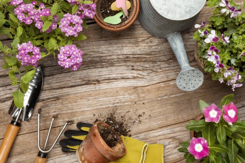 Deck maintenance and repair services