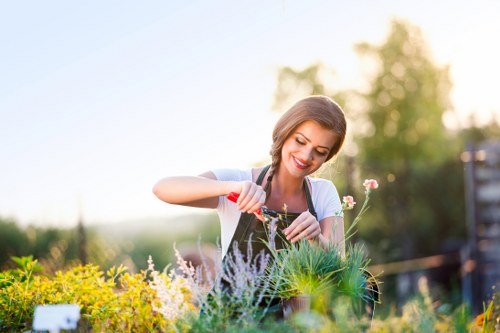 A smiling woman with light brown hair, dressed in a white top, tends to a variety of garden plants and flowers in a well-maintained outdoor space. She is cultivating a small flower bed or herb garden, using a small gardening spade or hand tool, amidst an array of green foliage, flowering plants, and decorative shrubs. The garden features a lush, green lawn with dense grass in the foreground, bordered by a mixture of flowering plants with yellow, purple, and pink blossoms, and neatly trimmed hedges or shrub borders in the background. The scene is bathed in natural daylight under a clear sky with soft sunlight highlighting the vibrant colours and textures of the garden elements. The setting suggests an organized, healthy garden exterior likely situated in a residential area within Muswell Hill, with the natural environment supporting outdoor gardening and landscaping activities typical of professional garden maintenance services. The overall composition emphasizes a peaceful, well-kept outdoor space suitable for gardening and landscaping enhancements by local experts such as Landscapers Muswell Hill.