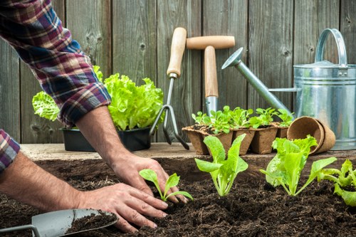 The image shows a person planting young leafy green vegetables into dark, freshly turned soil in a garden space. The person is wearing a plaid shirt with rolled-up sleeves, and their hands are carefully placing seedlings into the ground. In the background, there is a weathered wooden fence, providing a boundary for the outdoor area. Alongside the planting process, various garden tools are laid out on a rustic wooden surface, including a trowel, hand rake, and watering can, indicating active gardening activity. To the left, a small black container holds a few leafy green herbs or plants ready for transplanting. The garden appears well-maintained, with loose soil that is suitable for vegetable growth, and the overall scene is illuminated by natural daylight, suggesting favourable weather conditions. This setting exemplifies typical gardening practices seen in residential outdoor spaces within Muswell Hill, emphasizing the importance of soil preparation and planting in sustainable gardening and landscaping projects offered by Landscapers Muswell Hill, promoting healthy, vibrant gardens.