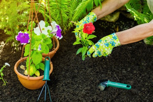 The image shows a gardener's hands wearing brightly coloured gardening gloves tending to a flower bed in a well-maintained outdoor garden space. The gardener is planting or handling a red flower, with a variety of other plants visible nearby, including a leafy green fern and potted flowering plants, such as white and purple petunias. A pair of pruning shears and a small hand rake are placed on the dark, rich soil, which appears freshly prepared. The garden layout includes a defined planting bed bordered by the surrounding lawn area, with mature trees and shrubs providing a lush green backdrop. The scene is well-lit with natural sunlight, indicating a clear day, suitable for outdoor gardening tasks. The overall setting suggests professional garden maintenance or landscaping work, typical of services offered by companies like Landscapers Muswell Hill, particularly in residential outdoor spaces within the Muswell Hill area or nearby postcode regions.