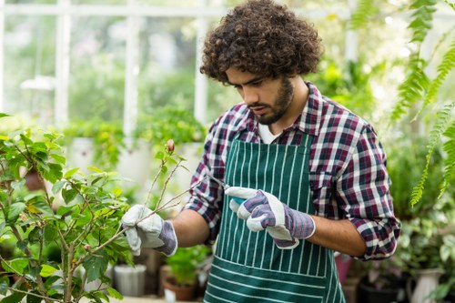 In a bright and lush greenhouse environment, a young man with curly dark hair and light brown skin is engaged in gardening, wearing a checkered shirt, a green striped apron, and gardening gloves. He is carefully holding a small plant or branch with delicate pink flowers, closely examining it, surrounded by various green foliage, potted plants, and climbing vines. The background features translucent greenhouse panels that allow natural daylight to illuminate the scene, complementing the vibrant greens and natural tones of the plants. The setting appears to be a well-maintained nursery or indoor garden space, indicative of professional gardening services in Muswell Hill, focused on plant care and cultivation, emphasizing quality gardening and landscaping expertise.