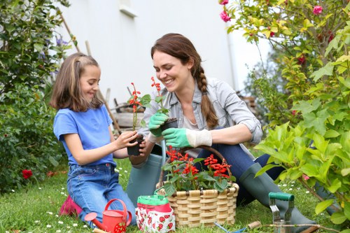 Cookie policy introduction for Landscapers Muswell Hill