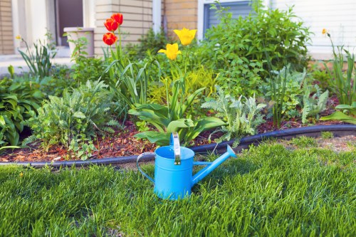 A garden scene in a residential outdoor space featuring a lush, green lawn with evenly cut grass in the foreground. Behind the lawn, there is a flower bed bordered with black edging, containing various flowering plants, including red and yellow tulips and other green leafy foliage. The flower bed is filled with dark, rich soil. In the centre of the image, a blue watering can is placed on the grass, with its spout directed toward the flower bed, indicating ongoing gardening activity. The background shows a light-colored garden wall or fence, with additional greenery and possibly a portion of a house or garden structure. The scene is well-lit with natural daylight, reflecting a typical spring or summer garden environment, illustrating typical outdoor maintenance and planting practices relevant to local gardening services in Muswell Hill.