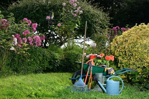 Choosing the right hedge trimming service in Muswell Hill