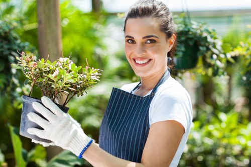 Benefits of professional hedge trimming services