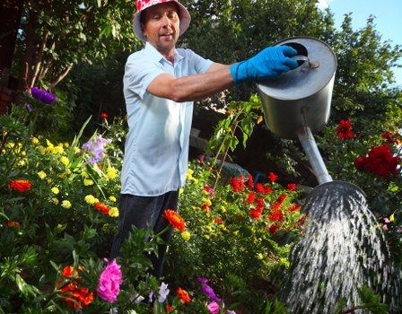 The image depicts a man in a garden setting, standing amidst a variety of vibrant flowering plants, including red, pink, and purple blooms, with lush green foliage and a small hedge in the background. He is wearing a light blue shirt, a red wide-brimmed hat, and blue gardening gloves while holding a metal watering can, pouring water over the garden bed to hydrate the plants. The garden appears well-maintained, with a mix of flower beds and natural grass areas that are evenly bordered, suggesting attentive landscaping care. Sunlight filters through the trees, creating a bright outdoor environment typical of a well-kept front or rear garden in Muswell Hill, London, which local landscaping experts like Landscapers Muswell Hill would service. The scene emphasizes outdoor garden maintenance activities, such as watering, essential for maintaining healthy plants and lush lawns, aligning with professional gardening and outdoor care services offered in the area. The natural tones of green, red, yellow, and purple against the blue sky highlight a vibrant, healthy garden space, perfect for enjoying the outdoors and further enhancing the garden’s aesthetic appeal.