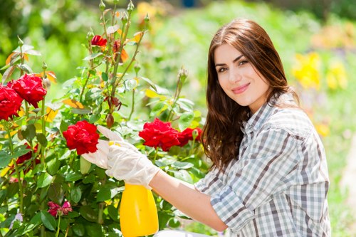A young woman with long brown hair, wearing a light checkered shirt and white gardening gloves, is seen tending to bright red flowering bushes in a lush garden. She is holding a yellow spray bottle and carefully inspecting or pruning the vibrant roses, which are situated in a well-maintained outdoor space with a mix of green foliage, including various shrubs and small trees in the background. The garden features a neatly arranged flower bed along a paved pathway, with visible soil and natural mulch around the plants. Sunlight filters through the surrounding trees, suggesting a clear, sunny day typical of outdoor gardening in the Muswell Hill area. This scene exemplifies professional gardening practices focused on plant care and landscape maintenance, aligning with services offered by companies like Landscapers Muswell Hill, who provide garden upkeep and greenery enhancement in the local region.