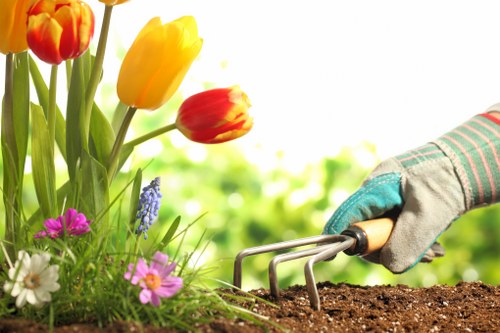 A close-up view of a gardener's hand wearing a gardening glove, using a small hand rake to tend to dark, moist soil in a garden bed. To the left, there are vibrant tulips in shades of yellow and red, alongside purple, white, and pink flowering plants, all set against a lush green background with blurred foliage. The scene captures a well-maintained outdoor garden space, possibly part of a residential backyard in Muswell Hill, with sunlight filtering through, indicating a bright and clear day suitable for gardening work. The overall composition highlights careful planting, soil preparation, and ongoing outdoor maintenance as part of professional landscaping services offered by Landscapers Muswell Hill.