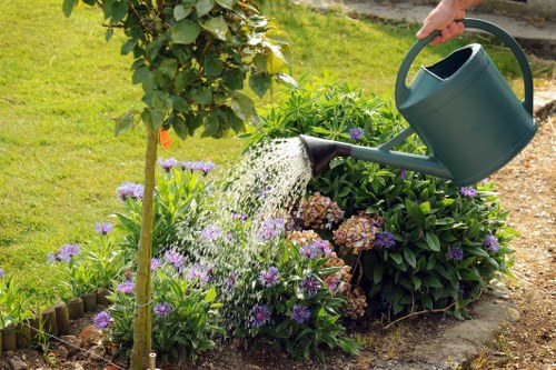 Sustainable garden with native plants