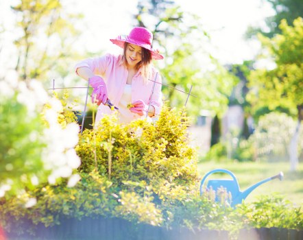 A woman wearing a pink sunhat, pink gardening gloves, and a light-colored shirt is tending to a flower bed in a well-maintained garden. She is using small gardening tools and appears to be planting or weeding. The flower bed, situated in a landscaped outdoor space, features vibrant yellow flowers and green foliage with a clear, sunny sky overhead. Behind her, there are trees with fresh green leaves, a neatly trimmed hedge, and a lawn area with dense, healthy grass. A blue watering can is visible on the grass, indicating ongoing garden maintenance. The environment suggests a front or backyard in a residential area, with natural sunlight illuminating the scene and casting soft shadows, exemplifying professional gardening practices suitable for services offered by Landscapers Muswell Hill in the local Muswell Hill area near N10 postcode.