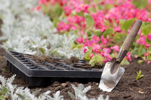 A garden scene featuring a section of soil with freshly planted flower beds surrounded by a mix of white and pink flowering plants, indicative of spring planting. In the foreground, a black plastic seedling tray holds young plants, with a small gardening trowel partially inserted into the soil nearby. The garden appears well-maintained, with clear delineation between flower beds and surrounding soil, reflecting neat gardening practices typical in residential outdoor spaces in Muswell Hill. The area is illuminated by natural daylight, suggesting favourable weather conditions, and the environment shows signs of recent planting activity, consistent with professional gardening services offered by Landscapers Muswell Hill. The image captures the preparation and planting stages within a landscaped yard, emphasizing careful garden layout, healthy soil, and variety of flowering plants, supporting the importance of professional garden care and planting services in the local area.