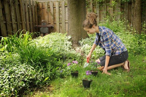Seasonal landscaping services enhancing garden beauty