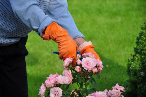 The image shows a person wearing blue gardening attire and orange gloves tending to a lush flower bed filled with blooming pink roses. The garden includes a well-maintained green lawn in the foreground and a neatly trimmed hedge or shrubbery in the background, with natural sunlight highlighting the vibrant colours and textures of the plants. The scene depicts outdoor gardening activity typical of a landscaped garden in Muswell Hill, aligning with professional gardening and landscaping services offered by Landscapers Muswell Hill, situated in the N10 postcode area. The environment appears calm and well-kept, with the person actively involved in caring for the flowering plants, reflecting expert knowledge in garden maintenance and horticultural care.