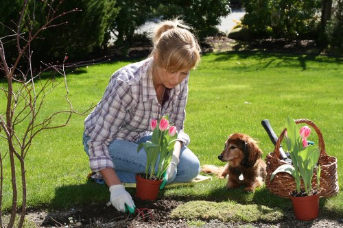 A woman with blonde hair tied back, dressed in a plaid shirt and jeans, is crouching on a lush, green lawn while planting or tending to a potted tulip plant in a small garden bed. She is wearing gardening gloves and appears to be carefully working with the soil. Nearby, a young brown puppy sits attentively, watching the woman's activity. To the right, there are two additional pots with flowering tulips, and a wicker basket filled with gardening tools and another plant. The background features a well-maintained outdoor space with mature trees and shrubs, creating a natural, landscaped environment typical of suburban gardens in Muswell Hill. The scene is illuminated by natural sunlight, suggesting a clear and pleasant day, with the vibrant grass and colorful blooms providing a cheerful and welcoming atmosphere consistent with professional gardening and landscaping services offered in the area by Landscapers Muswell Hill.