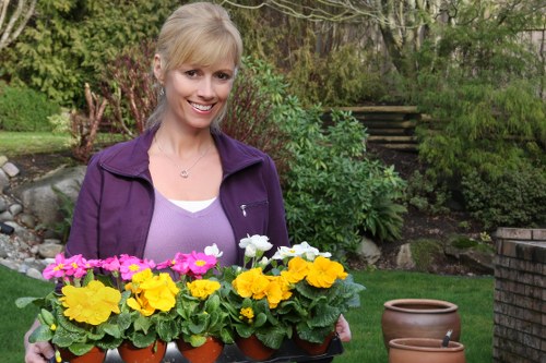A smiling woman with blonde hair, dressed in a purple jacket and white top, holding a black tray filled with vibrant flowering plants, including pink, yellow, and white blossoms, in a garden setting. Behind her, there is lush green foliage, a stone pathway, and a brick wall with steps leading upward, suggesting a well-maintained outdoor space suitable for gardening and landscape enhancement services. The scene is outdoors on a bright, clear day, with natural light illuminating the garden's variety of plants and garden features connected to professional gardening or landscaping maintenance in Muswell Hill.