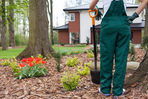 Professional tree trimming and care by Muswell Hill landscapers