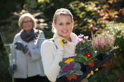 Professional landscaper designing a garden