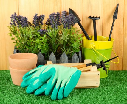 The image displays a well-organized garden tool station situated on a green artificial turf surface. In the foreground, a light-colored wooden container holds gardening tools, including a hand rake, trowel, and cultivator, with a pair of turquoise gardening gloves draped over the edge. To the left, there are several small terracotta pots stacked together, ready for planting. Behind these, a row of vibrant lavender plants with purple flowers and green foliage are potted in dark containers, positioned against a wooden fence or wall, creating a neat backdrop. On the right side, a bright yellow plastic bucket contains gardening tools such as a spade and a fork, with their handles protruding upwards. The overall scene suggests a prepared gardening area, ideal for planting, potting, and garden maintenance activities, typical of outdoor gardening services aimed at maintaining and enhancing a British garden environment in Muswell Hill or nearby areas. The natural lighting indicates an overcast or partly cloudy day, emphasizing the freshness of the garden supplies.