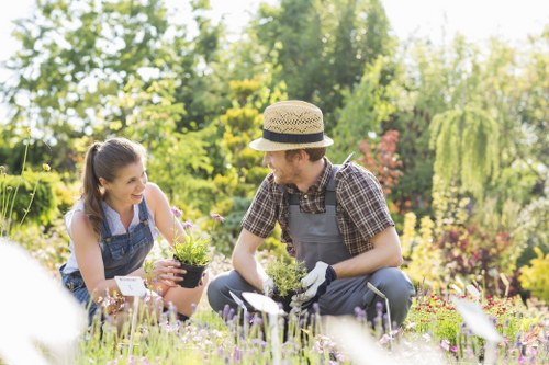 A gardener and a young woman are tending to a lush, well-maintained garden in a residential outdoor space, which features a neatly trimmed lawn, vibrant flower beds with various flowering plants, and tall trees providing natural shade. The gardener, dressed in a checkered shirt, grey trousers, and gloves, is kneeling on the grass, holding a small gardening tool, while the woman, wearing a denim apron over a light top, is smiling and holding a potted plant with purple flowers. The garden exhibits a mixture of flowering borders and dense foliage, with a background of green trees and shrubs that create a natural, peaceful environment typical of a well-kept suburban garden in the Muswell Hill area. The scene is illuminated by soft natural daylight, suggesting a bright, clear day. This setting reflects outdoor gardening and landscaping activities common to professional services provided by landscapers in Muswell Hill, focusing on garden cultivation and maintenance in a vibrant, inviting outdoor space.